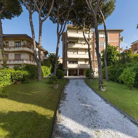 In Near The Viareggio